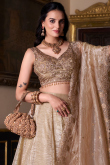 Oat Beige Tissue Lehenga with Embroidered Blouse