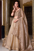 Oat Beige Tissue Lehenga with Embroidered Blouse