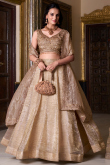 Oat Beige Tissue Lehenga with Embroidered Blouse