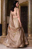 Oat Beige Tissue Lehenga with Embroidered Blouse