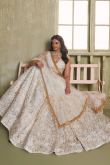 Off White Net Embroidered Flared Style Lehenga 