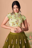 Olive Brown Net Resham Thread Embroidered Lehenga