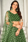 Olive Green Net Resham Embroidered Flared Style Lehenga 