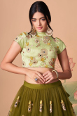 Olive Green Resham Embroidered Net Lehenga 