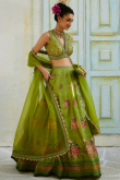 Olive Green Tussar Silk Embroidered Panelled Style Lehenga