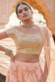 Pale Pink A Line Net Lehenga for Party 