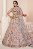 Pale Pink Net Panelled Lehenga With Sequins Embroidery 