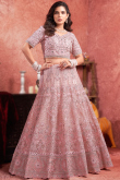 Pale Pink Net Sequins Embroidered Panelled Lehenga 
