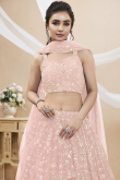 Pale Pink Zari Embroidered Flared Style Georgette Lehenga 