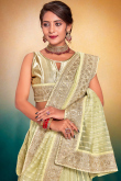 Pale Yellow Net Lace Embroidered Light Weight Saree