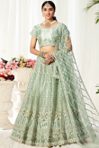 Pastel Green Net Lehenga With Net Choli