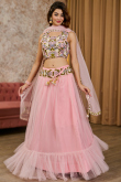 Pastel Pink Net Embroidered Flared Style Lehenga