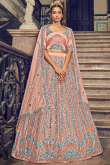 Pastel Pink Net Embroidered Lehenga