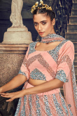 Pastel Pink Net Embroidered Lehenga