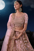 Pastel Pink Net Embroidered Wedding Wear Lehenga