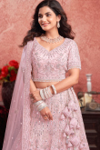 Pastel Pink Net Sequins Embroidered Panelled Lehenga 