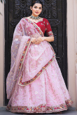 Pastel Pink Zari Embroidered Organza A-line Lehenga 