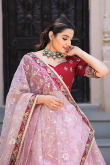 Pastel Pink Zari Embroidered Organza A-line Lehenga 
