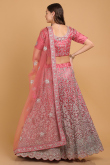 Dori Embroidered Net Dusty Pink Panelled Wedding Lehenga