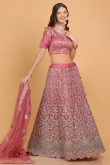 Dori Embroidered Net Dusty Pink Panelled Wedding Lehenga