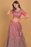 Dori Embroidered Net Dusty Pink Panelled Wedding Lehenga