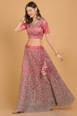Dori Embroidered Net Dusty Pink Panelled Wedding Lehenga