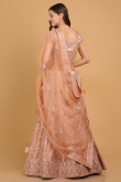 Resham Thread Embroidered Net Peach Panelled Lehenga for Wedding & Party