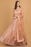 Resham Thread Embroidered Net Peach Panelled Lehenga for Wedding & Party