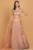 Resham Thread Embroidered Net Peach Panelled Lehenga for Wedding & Party
