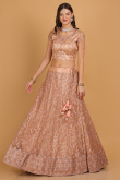 Resham Thread Embroidered Net Peach Panelled Lehenga for Wedding & Party