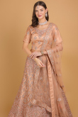 Dusty Pink Zari Embroidered Net Panelled Lehenga for Wedding & Party