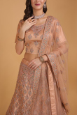 Dusty Pink Zari Embroidered Net Panelled Lehenga for Wedding & Party