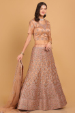 Dusty Pink Zari Embroidered Net Panelled Lehenga for Wedding & Party