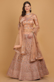 Dusty Pink Zari Embroidered Net Panelled Lehenga for Wedding & Party