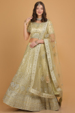 Pear Green Dori Embroidered Net Panelled Lehenga for Wedding & Party