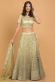 Pear Green Dori Embroidered Net Panelled Lehenga for Wedding & Party