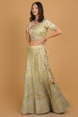 Pear Green Dori Embroidered Net Panelled Lehenga for Wedding & Party