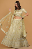 Pear Green Dori Embroidered Net Panelled Lehenga for Wedding & Party