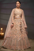 Peach Dori Embroidered Net Panelled Style Lehenga
