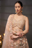 Peach Dori Embroidered Net Panelled Style Lehenga