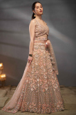 Peach Dori Embroidered Net Panelled Style Lehenga
