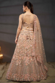 Peach Dori Embroidered Net Panelled Style Lehenga