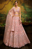 Peach Net Dori Embroidered Panelled Style Lehenga