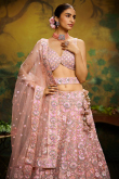 Peach Net Dori Embroidered Panelled Style Lehenga