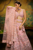 Peach Net Dori Embroidered Panelled Style Lehenga
