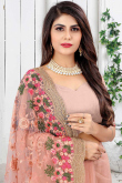 Peach Net Embroidered Party Wear Saree