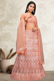 Peach Net Sequins Embroidered Panelled Style Lehenga 