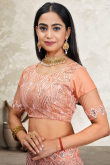 Peach Net Sequins Embroidered Panelled Style Lehenga 