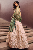 Peach Viscose Dori Embroidered Panelled Style Lehenga