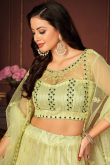 Pear Green Embroidered A-Line Net Lehenga